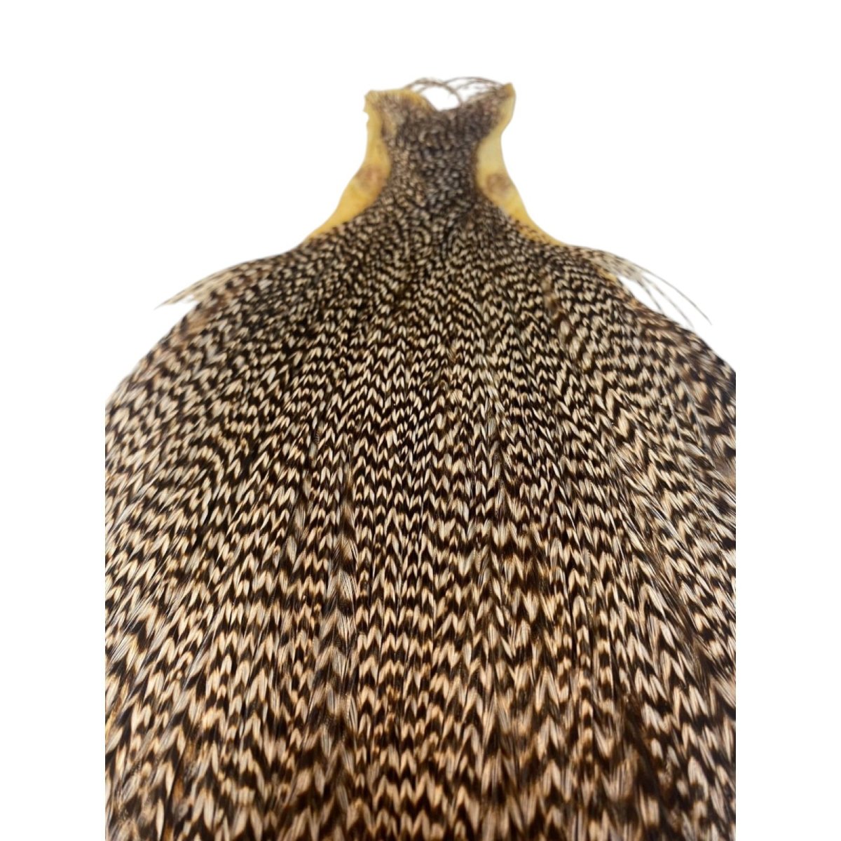 画像2: KEOUGH コックネック フルサイズ グリズリーダン #2 K6  キーオ  (2)