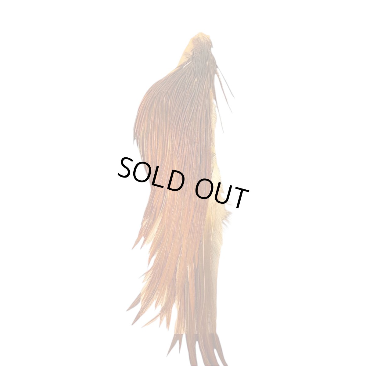 画像3: KEOUGH コックネック ハーフ ブラウン #2 K16  キーオ  (3)