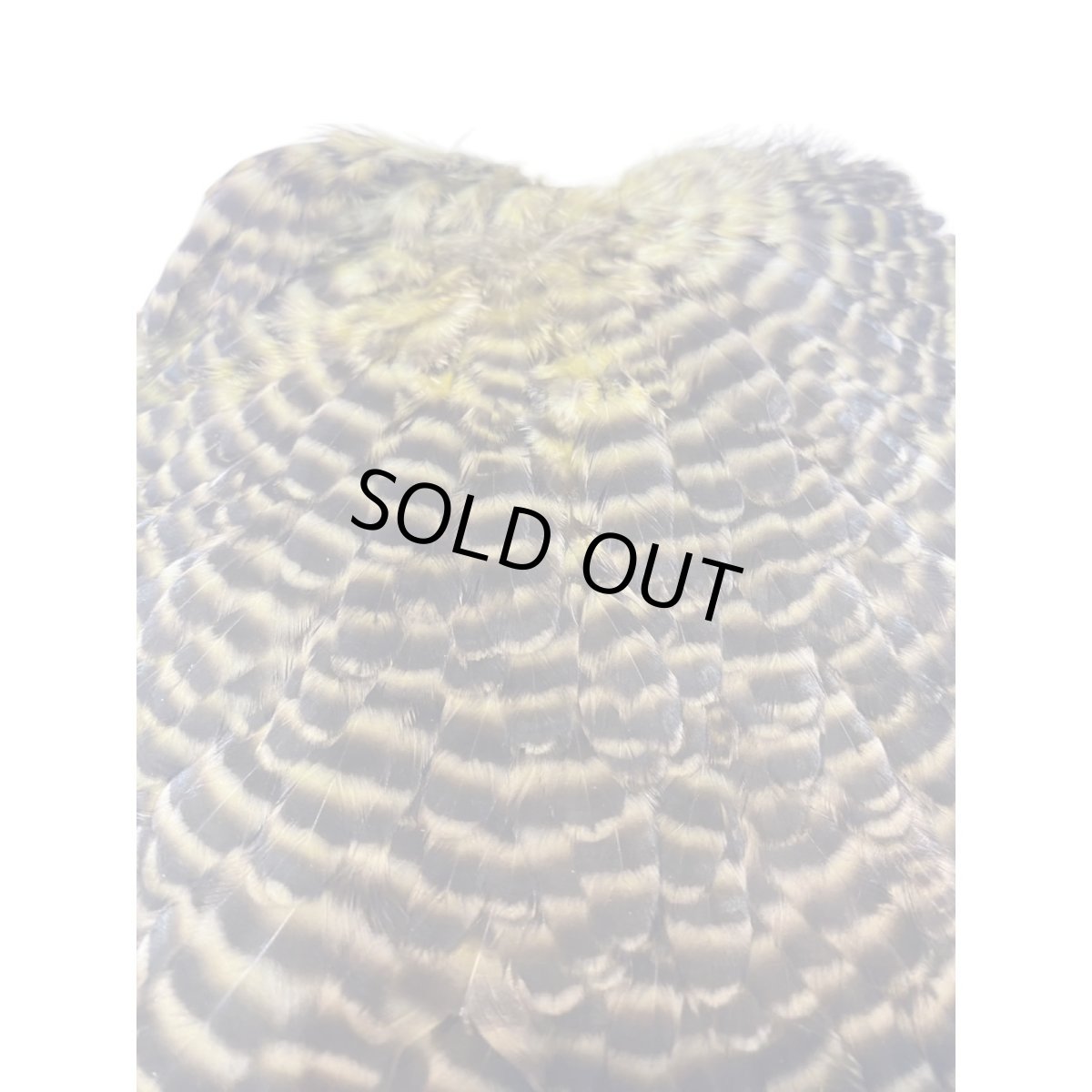 画像3: KEOUGH　　ヘンサドル　＃1　グリズリーオリーブ　K35　　キーオ　 (3)