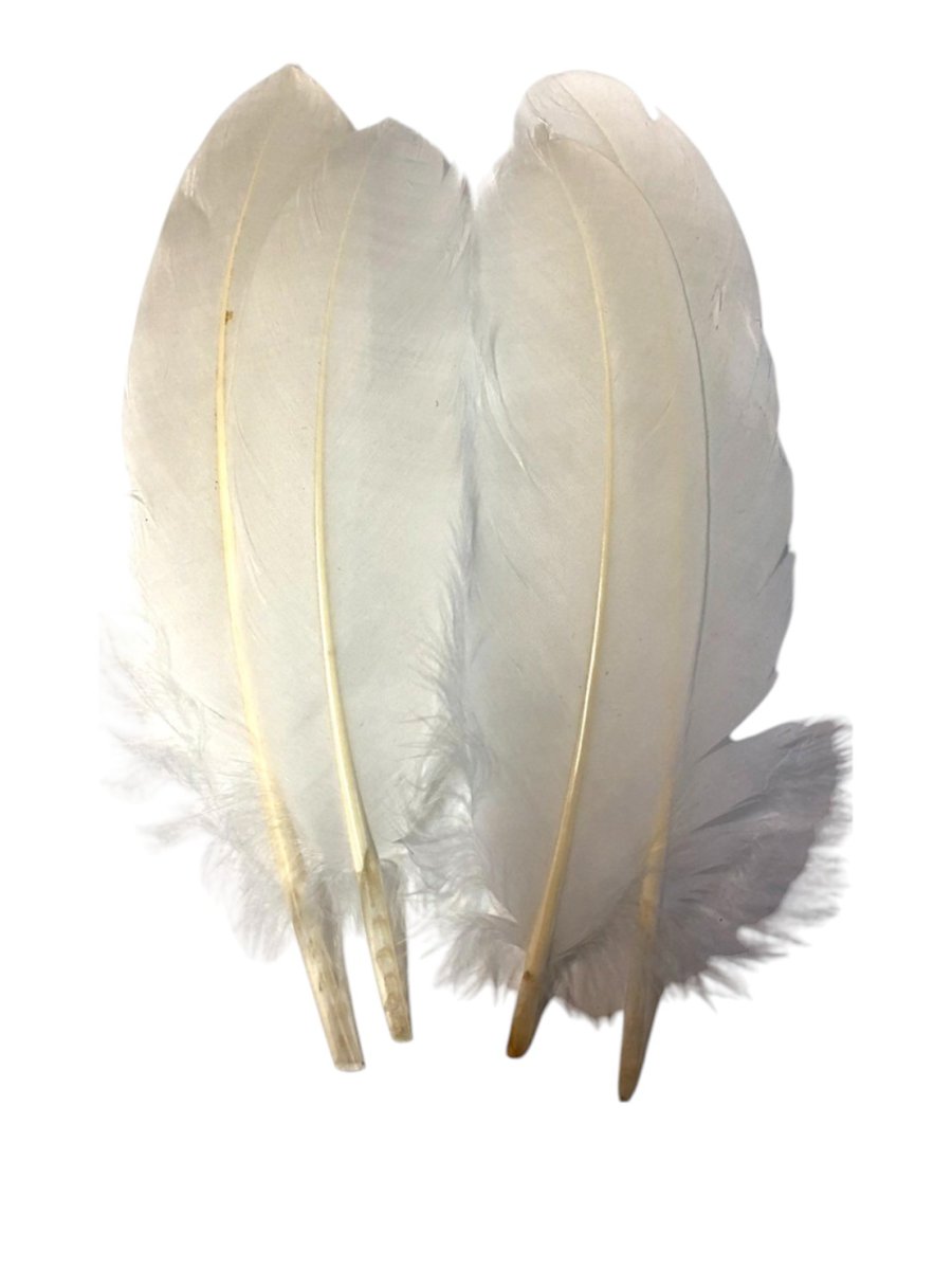 画像2: CANAL キャナル DUCK SHOULDER ダックショルダー (2)