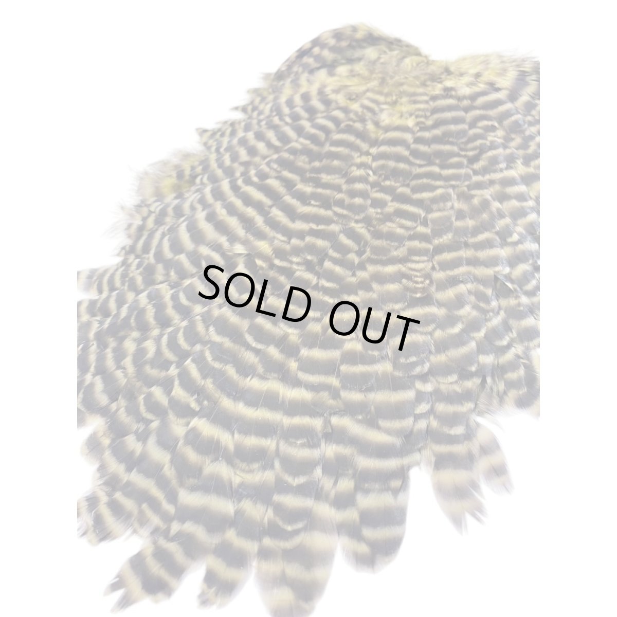 画像4: KEOUGH　　ヘンサドル　＃1　グリズリーオリーブ　K35　　キーオ　 (4)