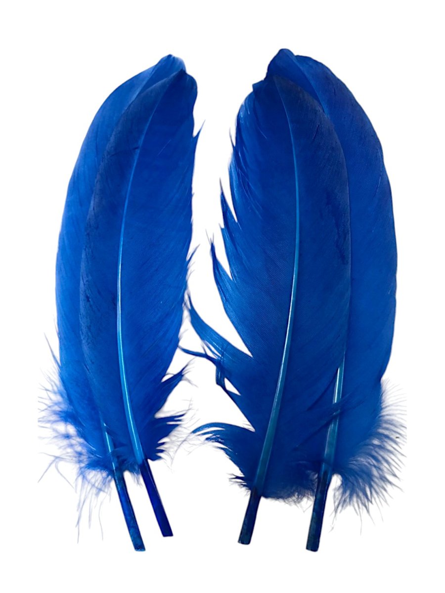 画像5: CANAL キャナル DUCK SHOULDER ダックショルダー (5)