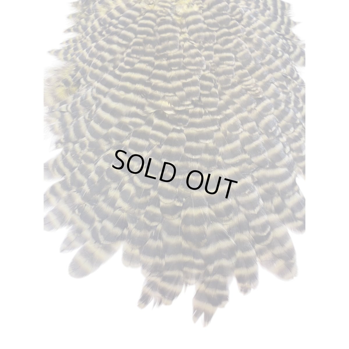 画像2: KEOUGH　　ヘンサドル　＃1　グリズリーオリーブ　K35　　キーオ　 (2)