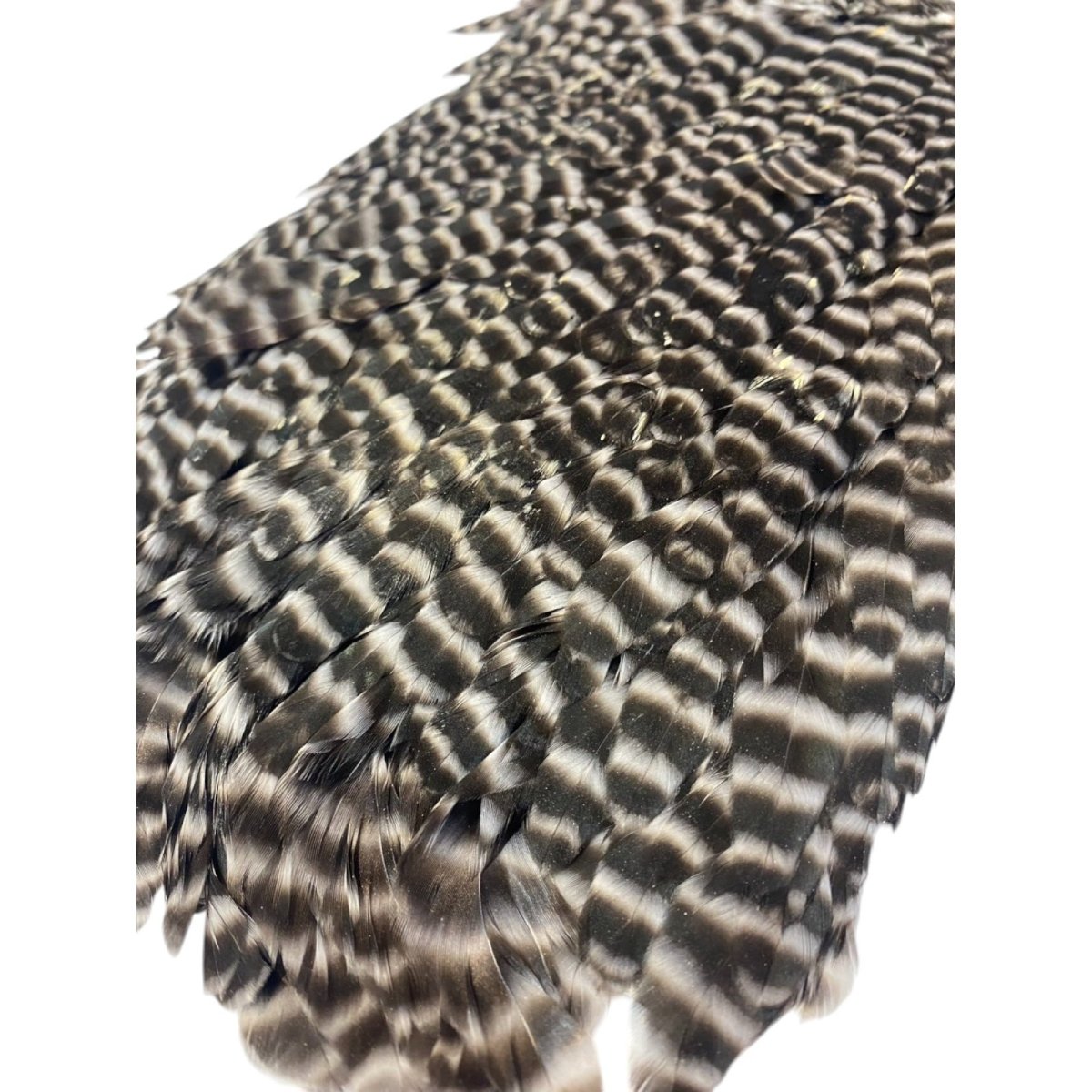 画像4: KEOUGH  ヘンサドル #1 グリズリー K34  キーオ  (4)