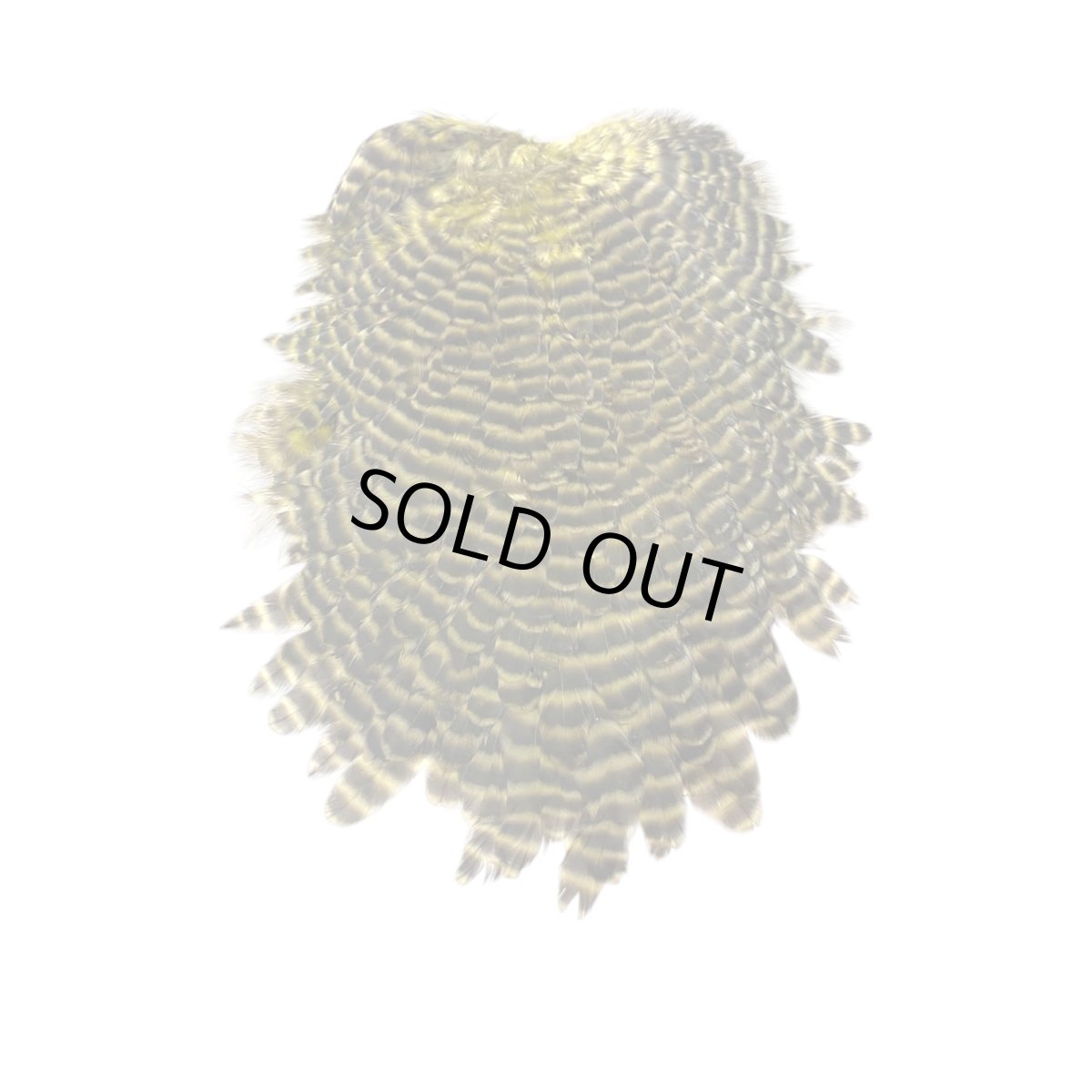 画像1: KEOUGH　　ヘンサドル　＃1　グリズリーオリーブ　K35　　キーオ　 (1)