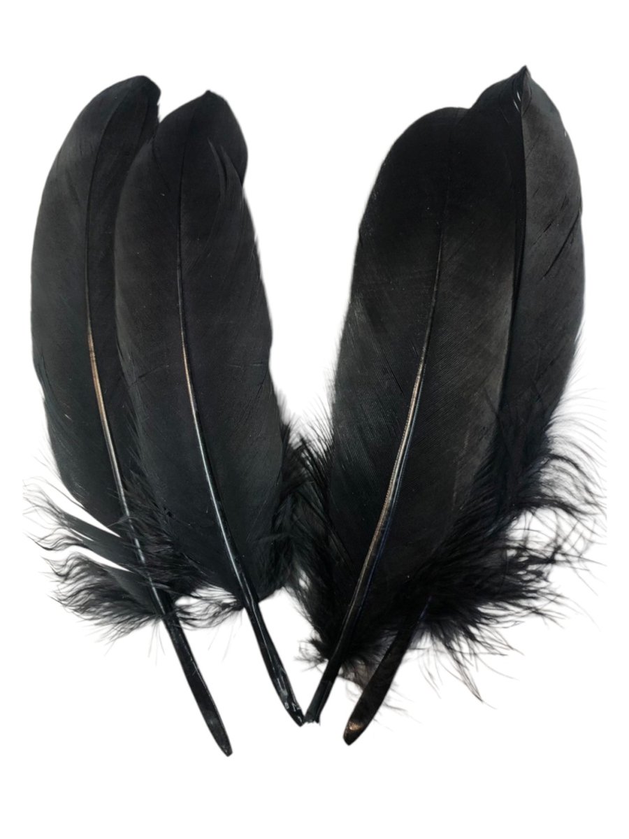 画像6: CANAL キャナル DUCK SHOULDER ダックショルダー (6)