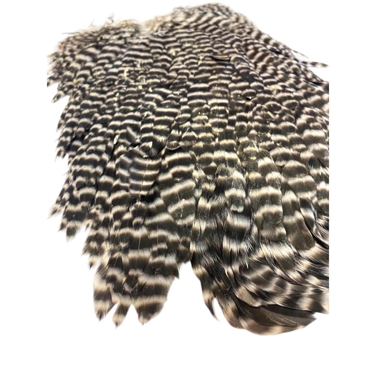 画像5: KEOUGH  ヘンサドル #1 グリズリー K34  キーオ  (5)