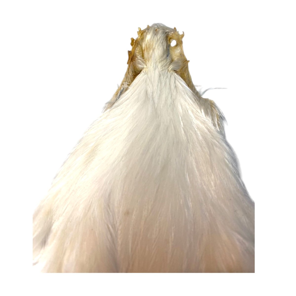 画像3: KEOUGH  ヘンケープ #1 クリーム K40  キーオ  (3)