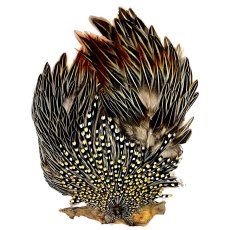 画像1: ジャングルコック　NO24　JUNGLE　COCK (1)