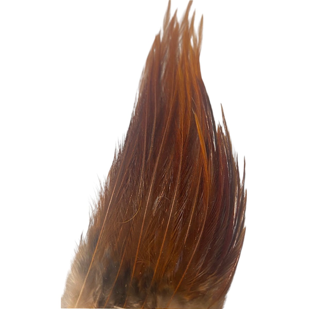 画像6: KEOUGH　　コックネック小分け　＃10〜＃12　各色　K42　　キーオ　 (6)