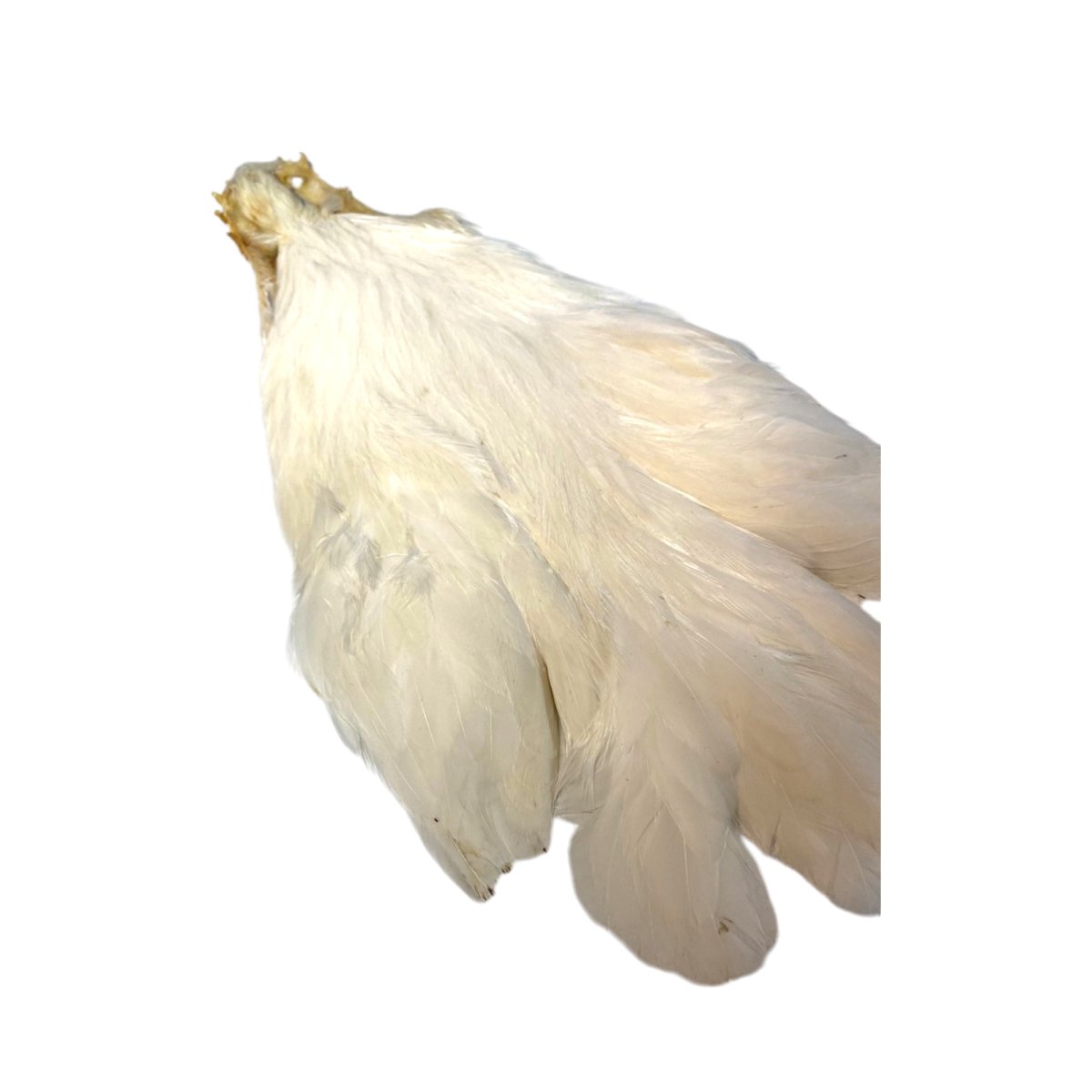 画像5: KEOUGH  ヘンケープ #1 クリーム K40  キーオ  (5)