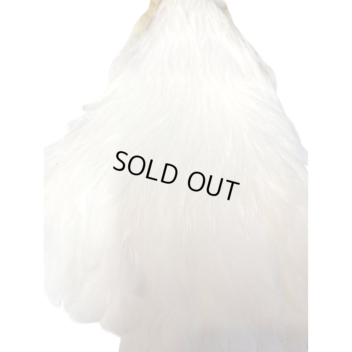 画像5: KEOUGH　　ヘンケープ　＃1　クリーム　K41　　キーオ　 (5)