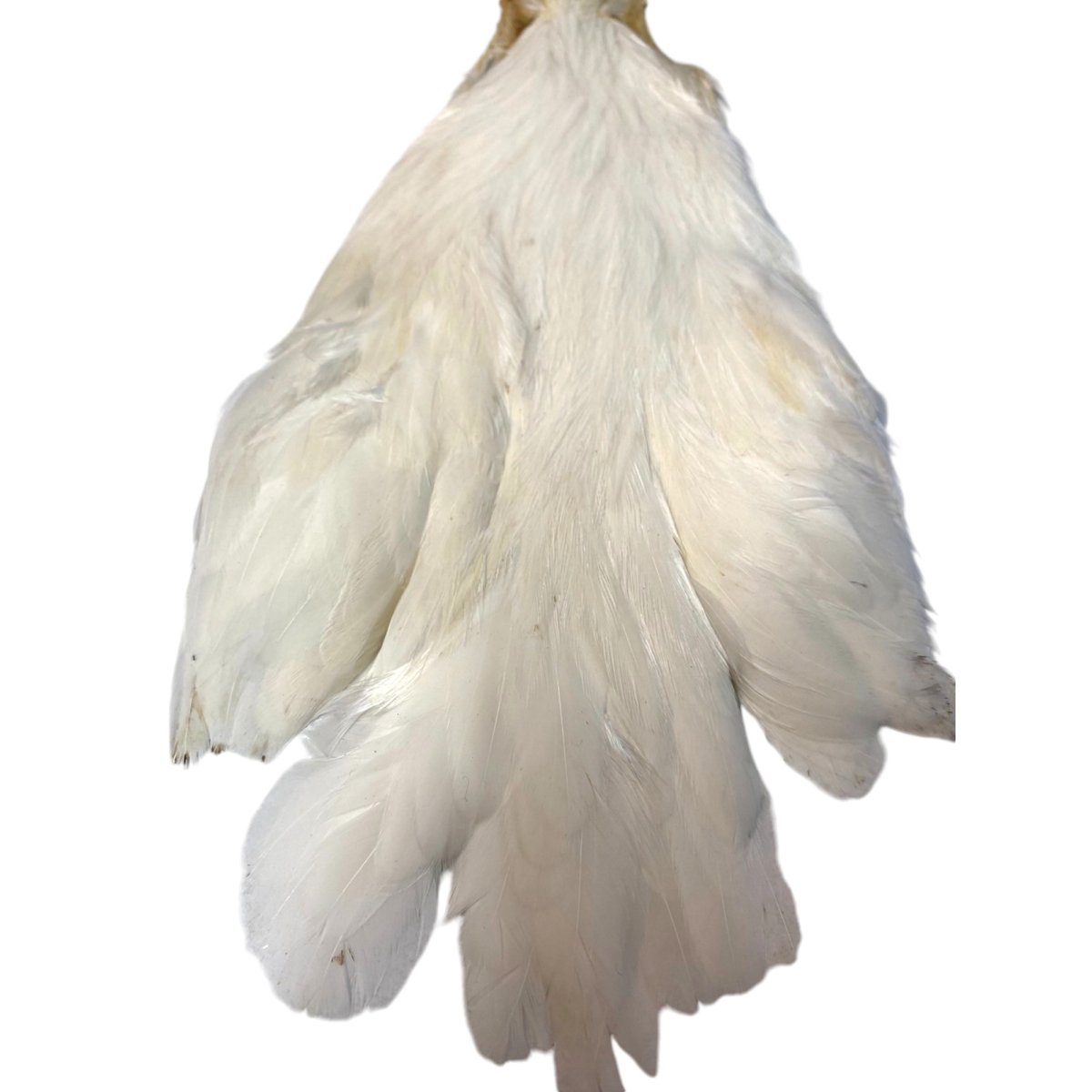 画像2: KEOUGH  ヘンケープ #1 クリーム K40  キーオ  (2)