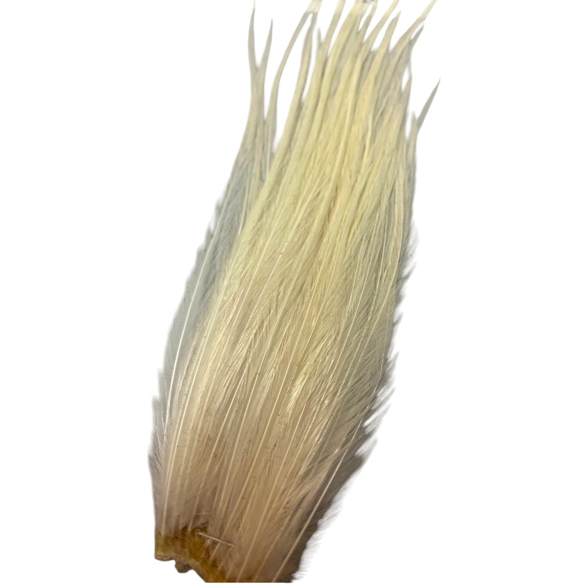 画像4: KEOUGH　　コックネック小分け　＃10〜＃12　各色　K42　　キーオ　 (4)