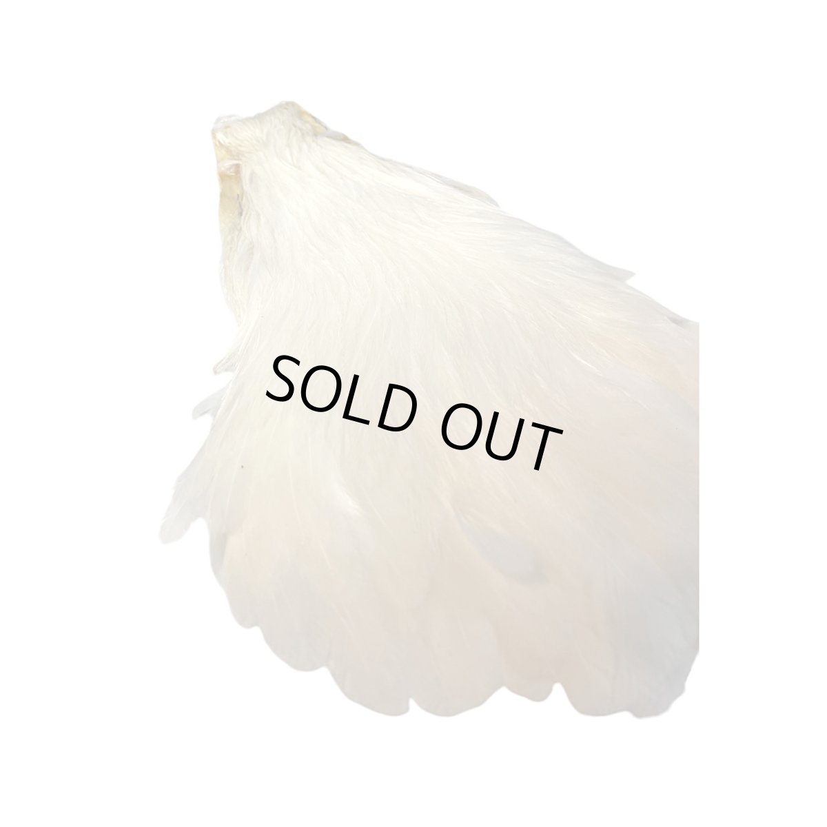 画像1: KEOUGH　　ヘンケープ　＃1　クリーム　K41　　キーオ　 (1)