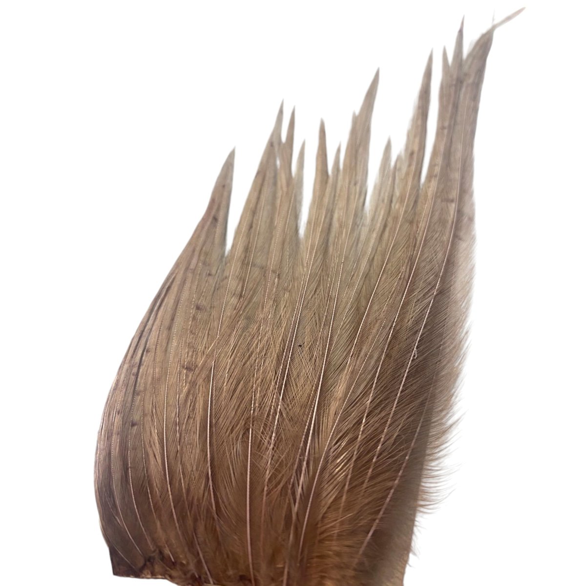 画像10: KEOUGH　　コックネック小分け　＃10〜＃12　各色　K42　　キーオ　 (10)