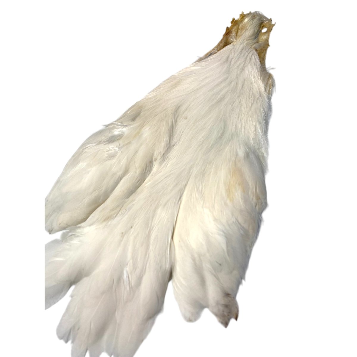 画像4: KEOUGH  ヘンケープ #1 クリーム K40  キーオ  (4)