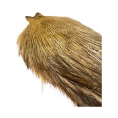 画像3: WHITING　Rooster Cape　NO4　Variant　ホワイティング　コックデレオン (3)