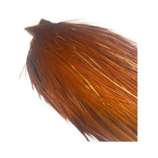 画像5: WHITING　Rooster Cape 　W13 ホワイティング　HERITAGE　ヘリテージ (5)