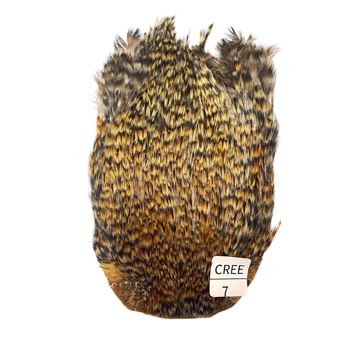 画像1: インドコックケープ India Cock Neck Cape　クリー　NO7 (1)