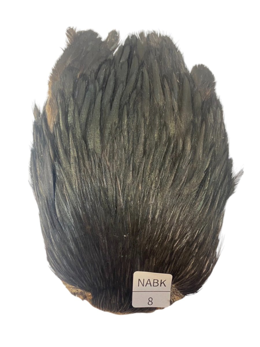 画像1: インドコックケープ India Cock Neck Cape　ナチュラルブラック　NO8 (1)