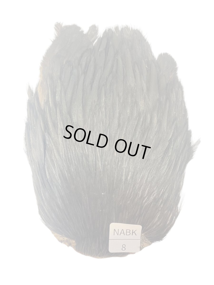 画像1: インドコックケープ India Cock Neck Cape　ナチュラルブラック　NO8 (1)