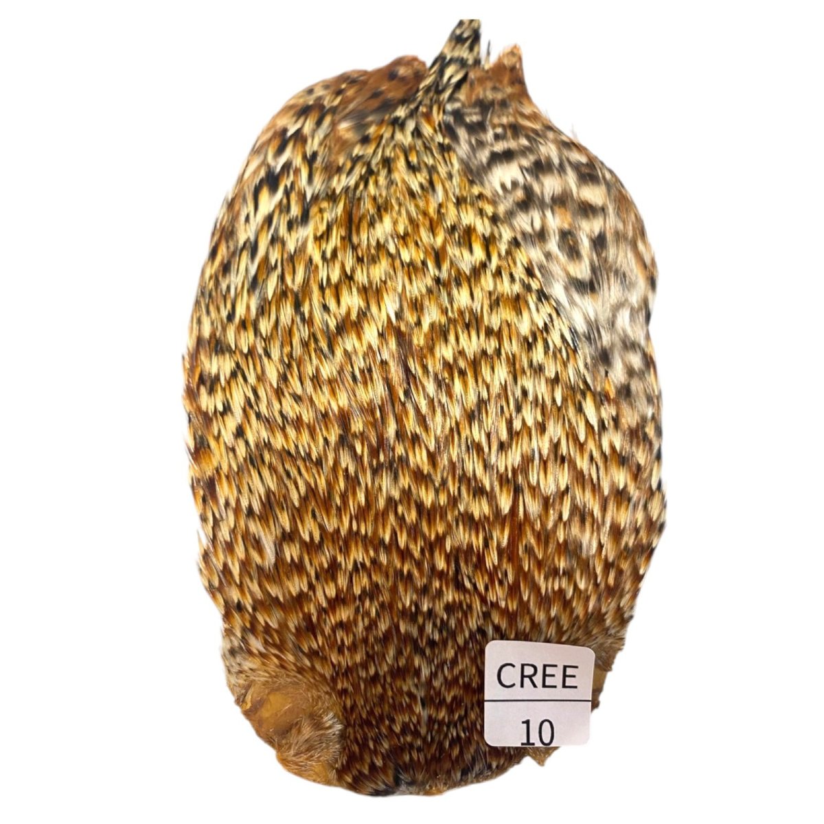 画像1: インドコックケープ India Cock Neck Cape　クリー　NO10 (1)