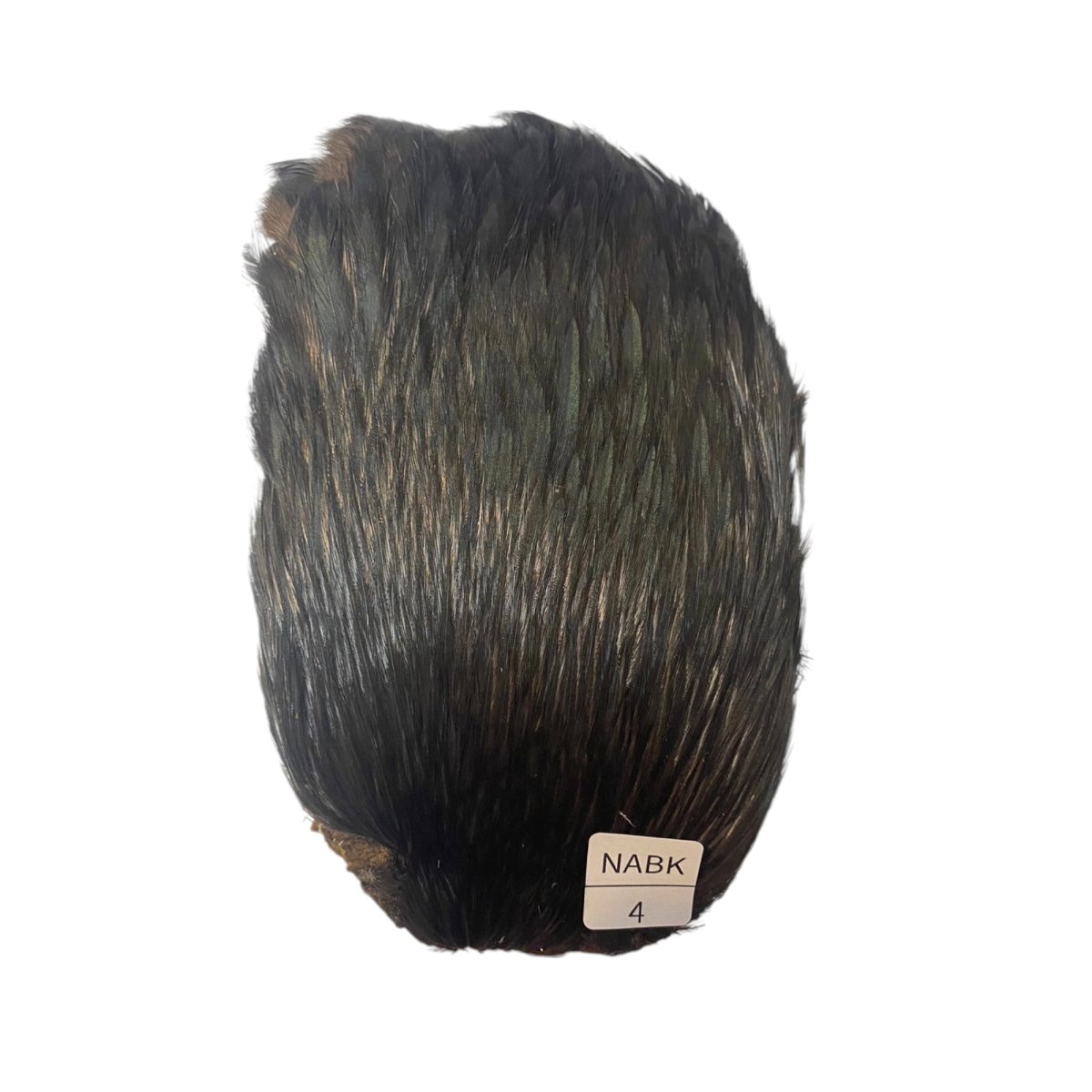 画像1: インドコックケープ India Cock Neck Cape　ナチュラルブラック　NO4 (1)