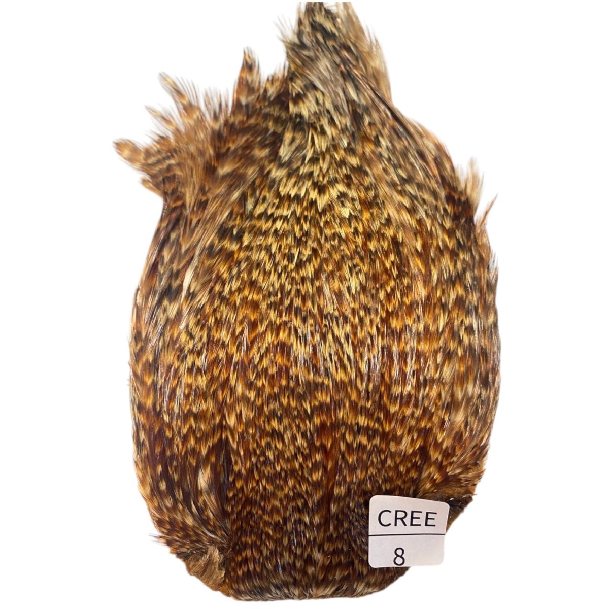 画像1: インドコックケープ India Cock Neck Cape　クリー　NO8 (1)