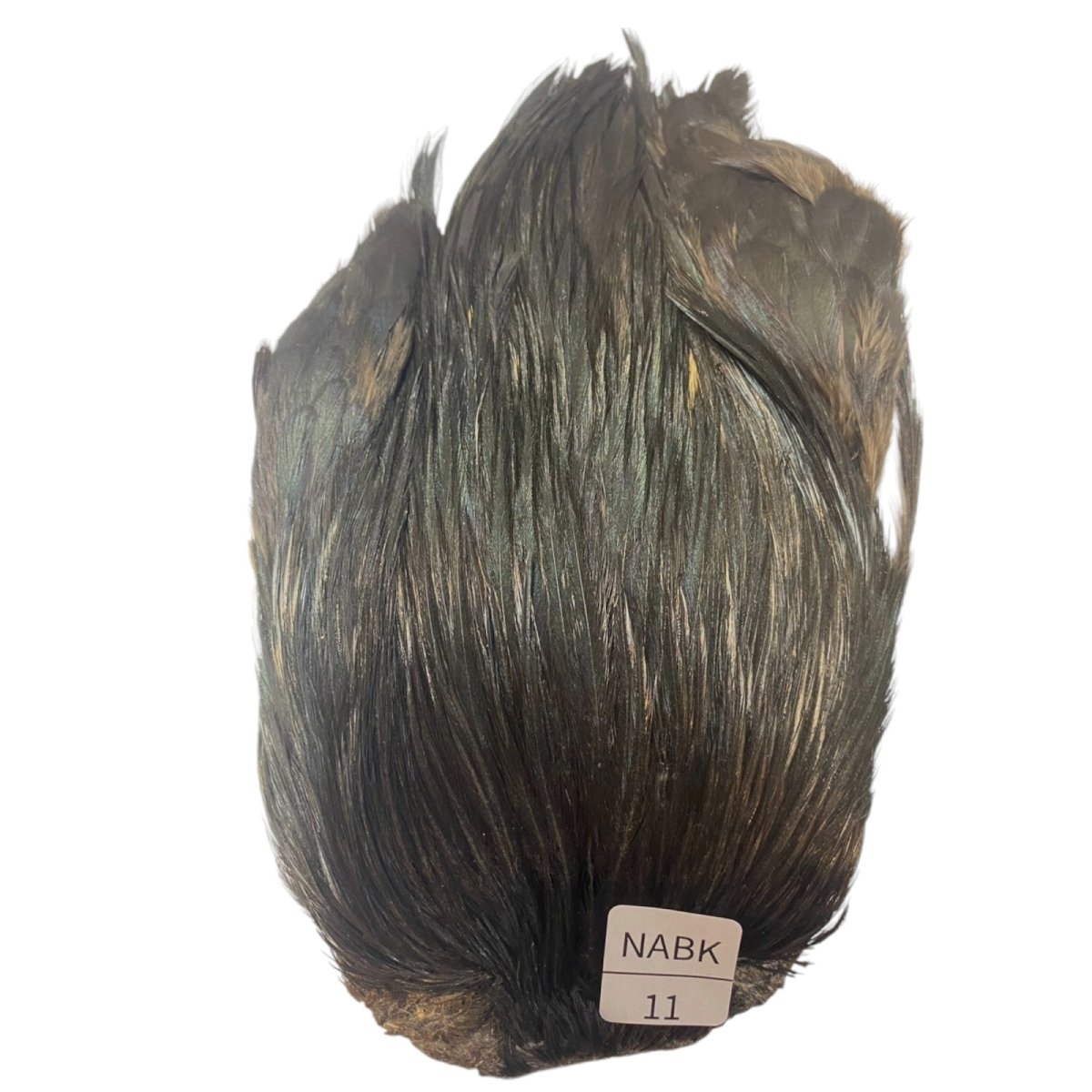 画像1: インドコックケープ India Cock Neck Cape　ナチュラルブラック　NO11 (1)