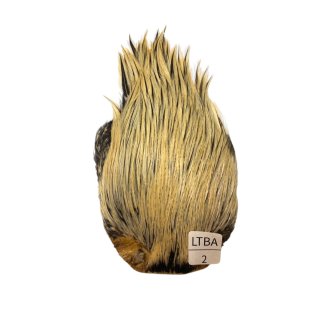 メッツ コックネック METZ Cock Neck Hackle - 鱒夢