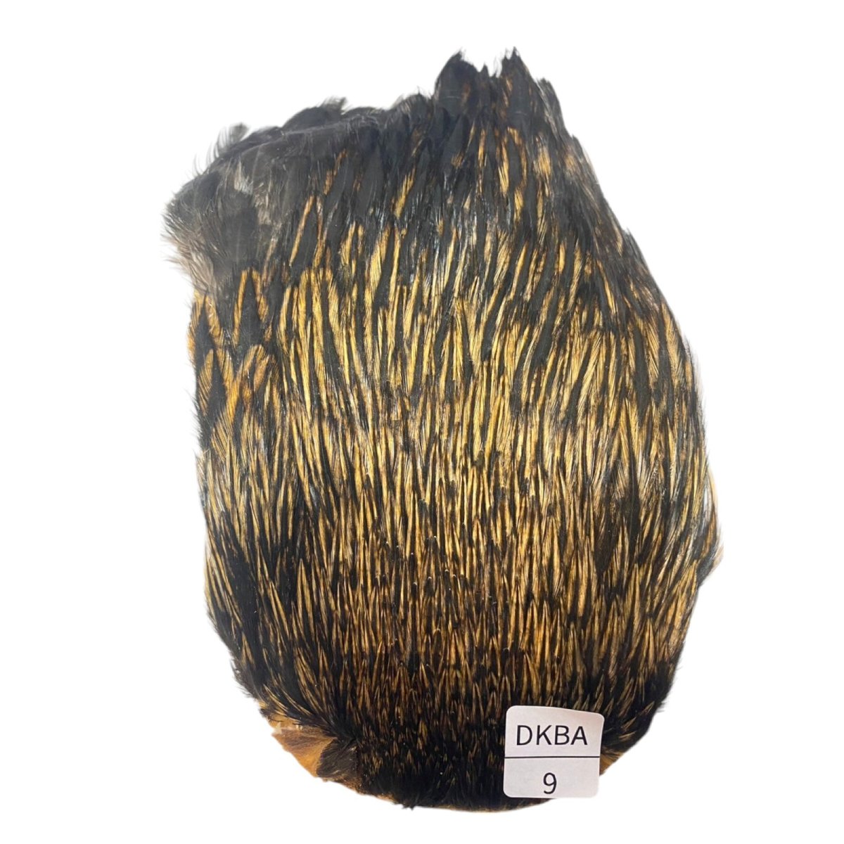 画像1: インドコックケープ India Cock Neck Cape　　ダークバジャー　NO09 (1)