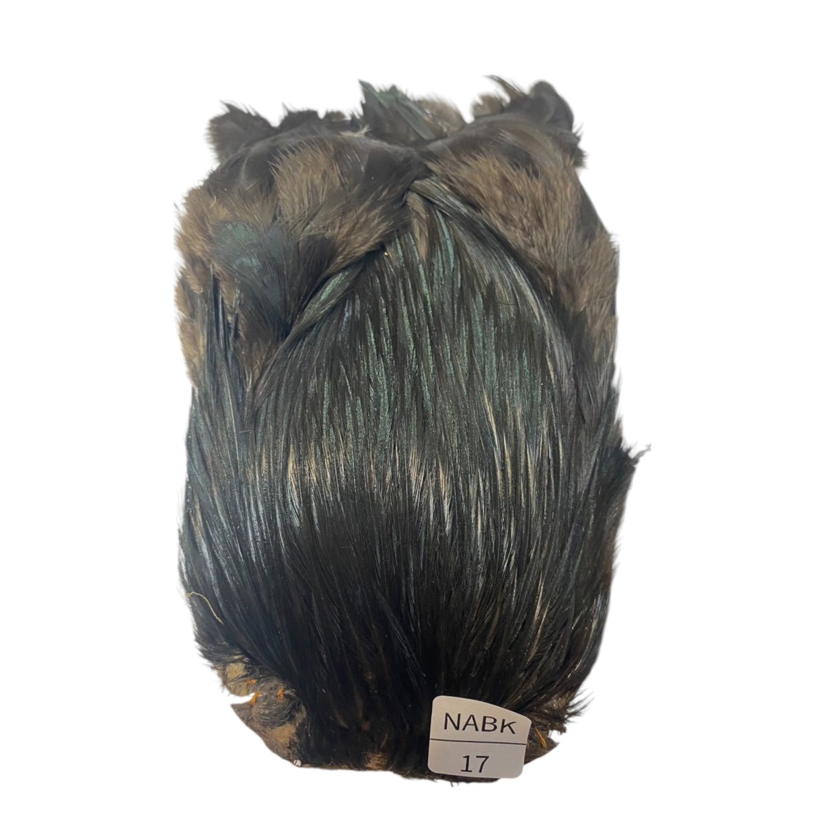 画像1: インドコックケープ India Cock Neck Cape　ナチュラルブラック　NO17 (1)