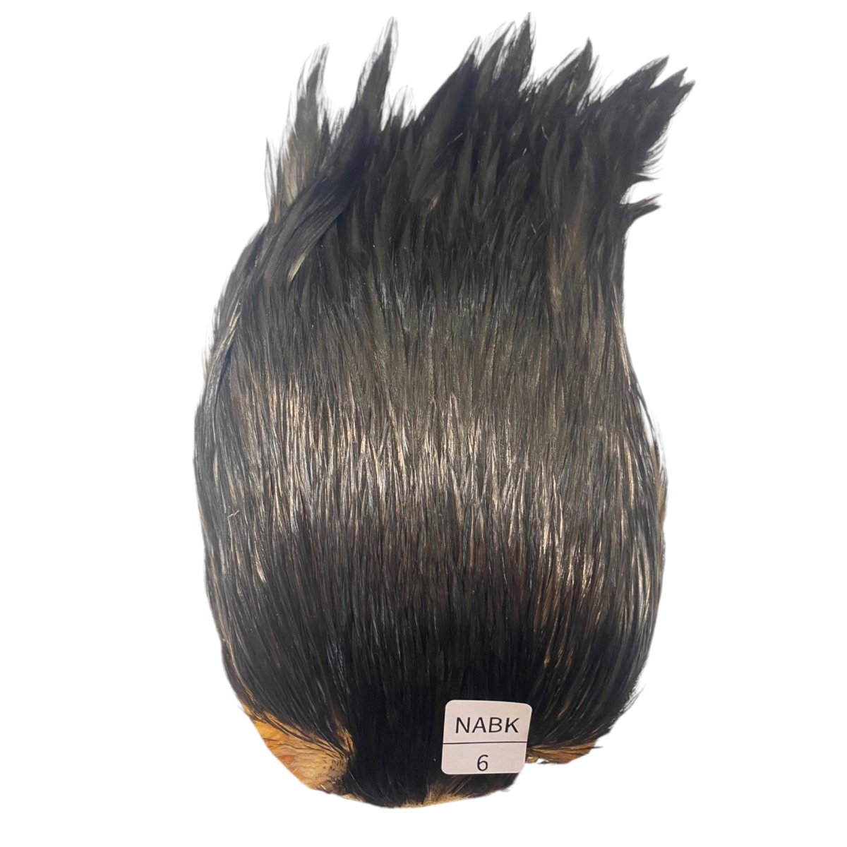 画像1: インドコックケープ India Cock Neck Cape　ナチュラルブラック　NO6 (1)