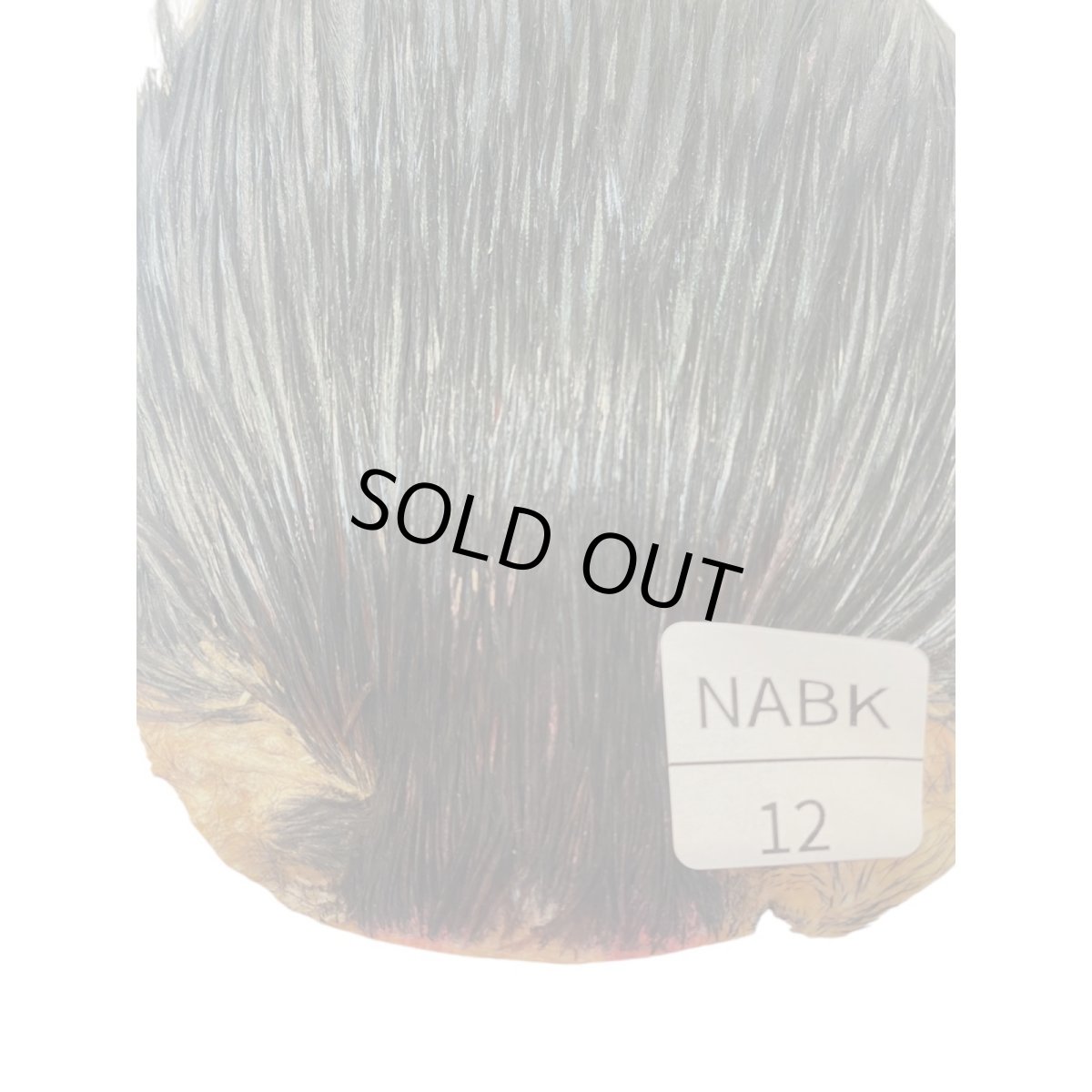 画像2: B品 インドコックケープ India Cock Neck Cape ナチュラルブラック NO12 (2)