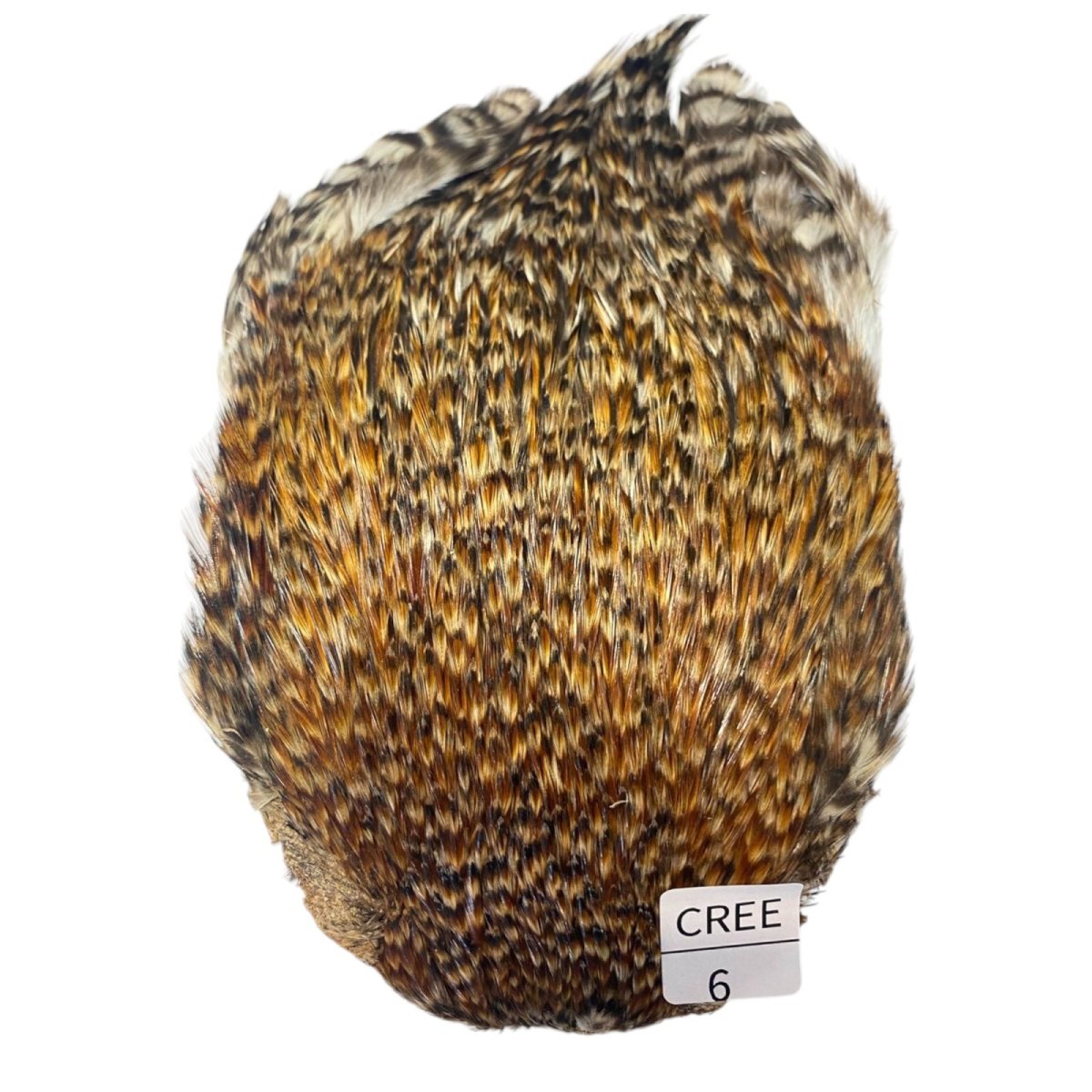 画像1: インドコックケープ India Cock Neck Cape　クリー　NO6 (1)