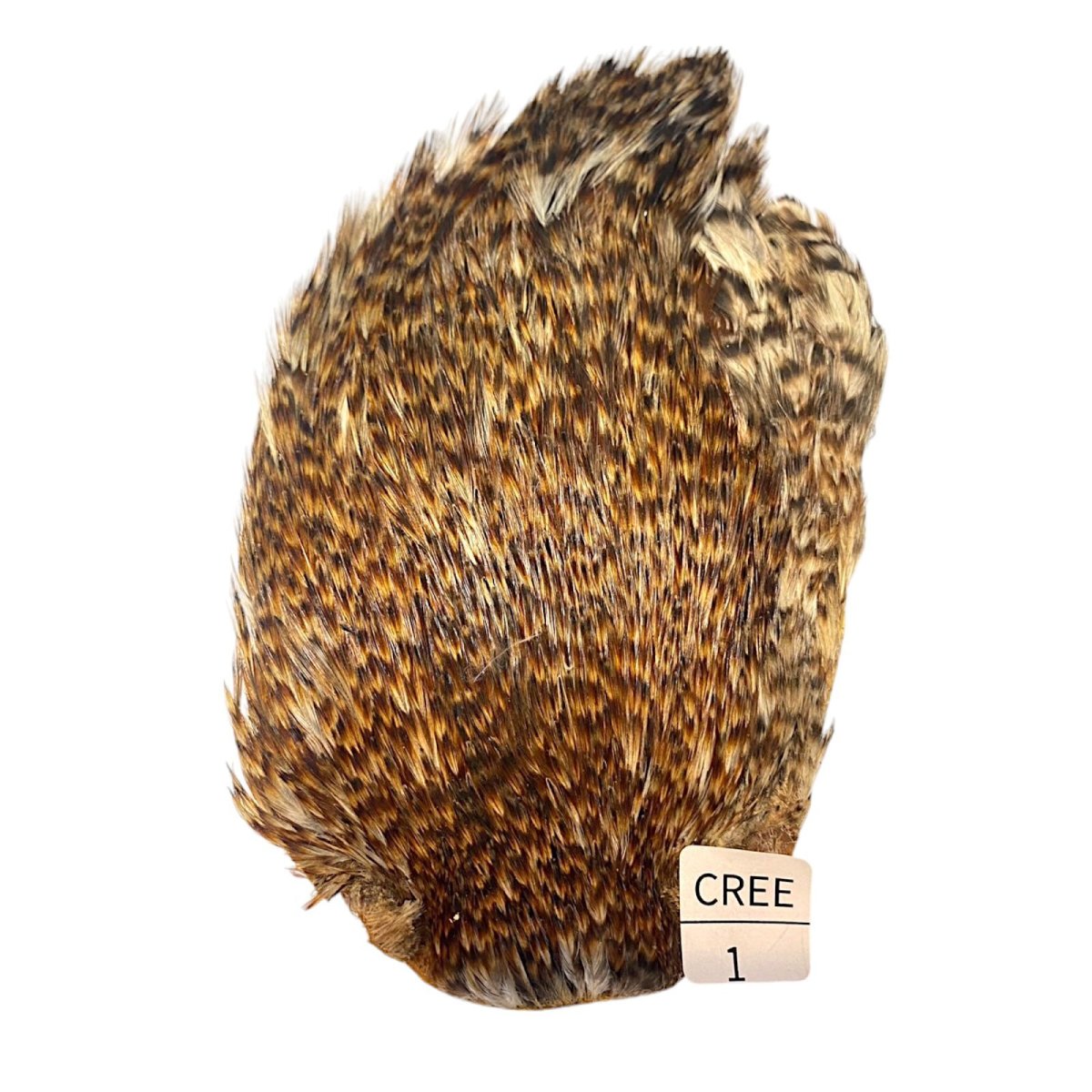 画像1: インドコックケープ India Cock Neck Cape　クリー　NO1　　 (1)