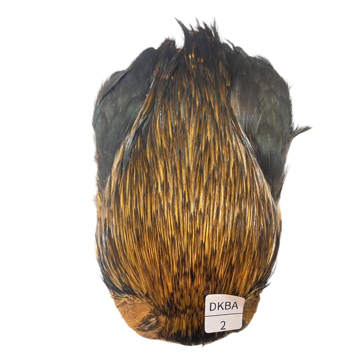 画像1: インドコックケープ India Cock Neck Cape　　ダークバジャー　NO02 (1)