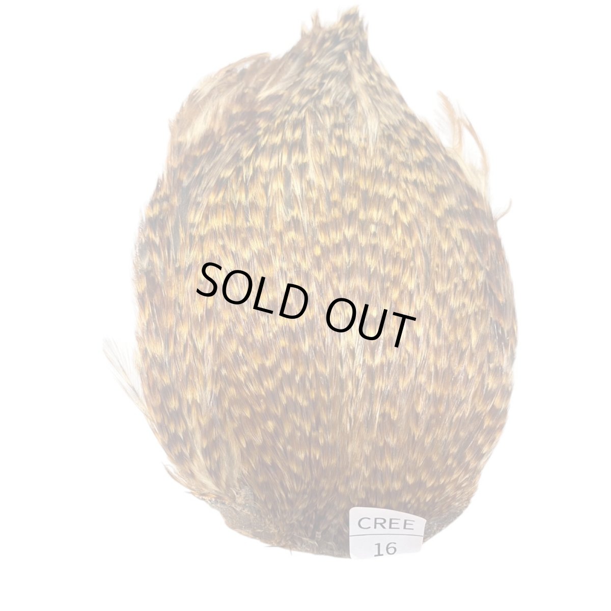 画像1: インドコックケープ India Cock Neck Cape　クリー　NO16 (1)