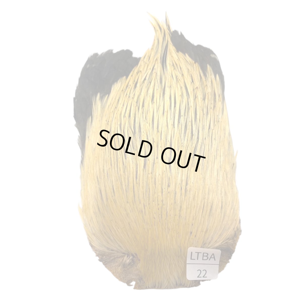 画像1: インドコックケープ India Cock Neck Cape　　ライトバジャー　NO22 (1)