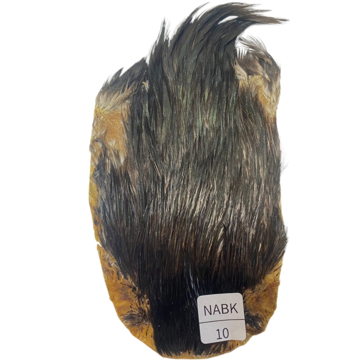 画像1: インドコックケープ India Cock Neck Cape　ナチュラルブラック　NO10 (1)