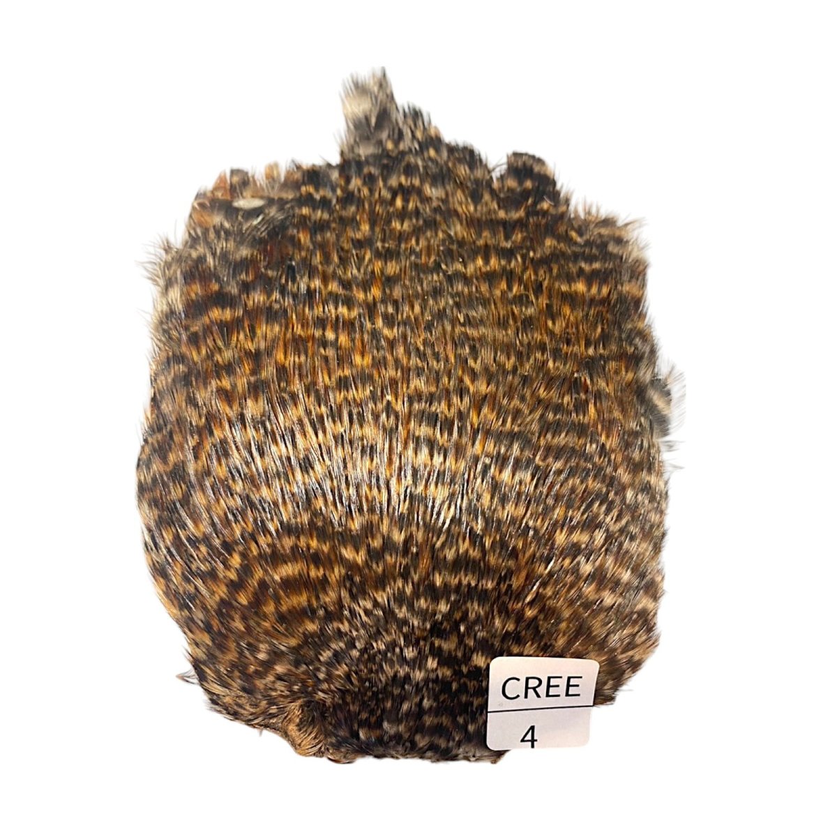 画像1: インドコックケープ India Cock Neck Cape　クリー　NO4 (1)