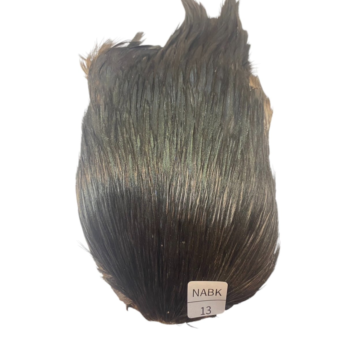 画像1: インドコックケープ India Cock Neck Cape　ナチュラルブラック　NO13 (1)
