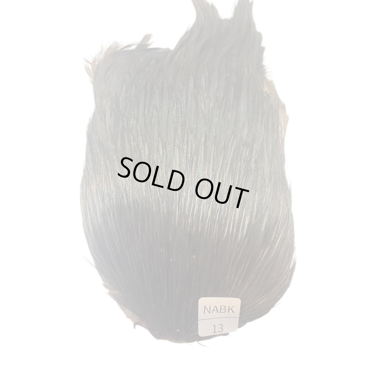 画像1: インドコックケープ India Cock Neck Cape　ナチュラルブラック　NO13 (1)