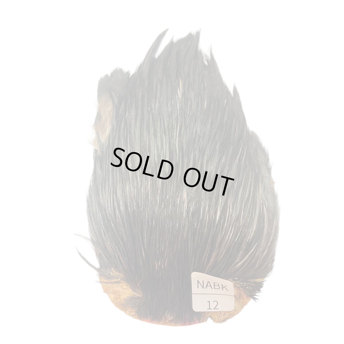 画像1: B品 インドコックケープ India Cock Neck Cape ナチュラルブラック NO12 (1)