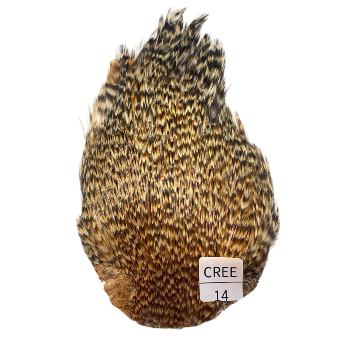 画像1: インドコックケープ India Cock Neck Cape　クリー　NO14 (1)
