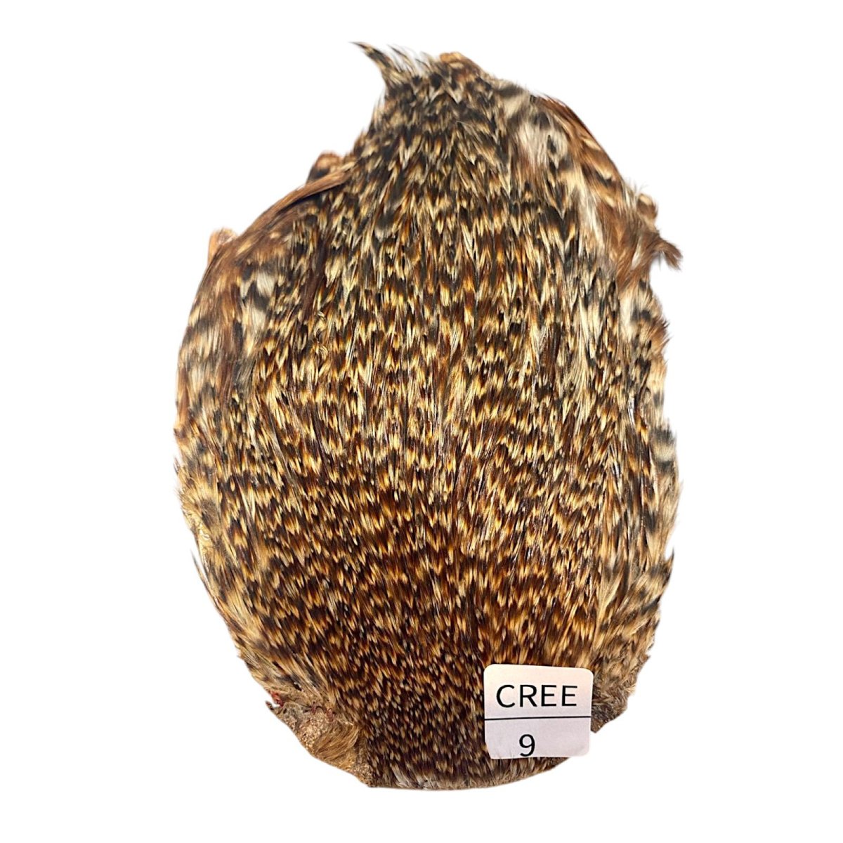 画像1: インドコックケープ India Cock Neck Cape　クリー　NO9 (1)