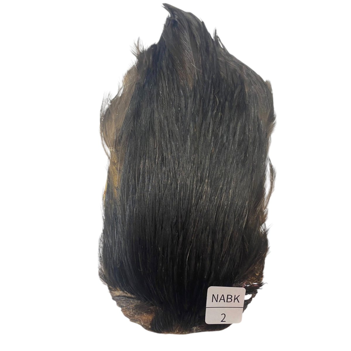 画像1: インドコックケープ India Cock Neck Cape　ナチュラルブラック　NO2 (1)