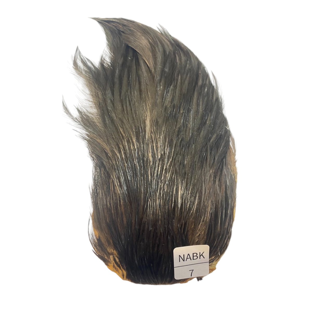 画像1: インドコックケープ India Cock Neck Cape　ナチュラルブラック　NO7 (1)