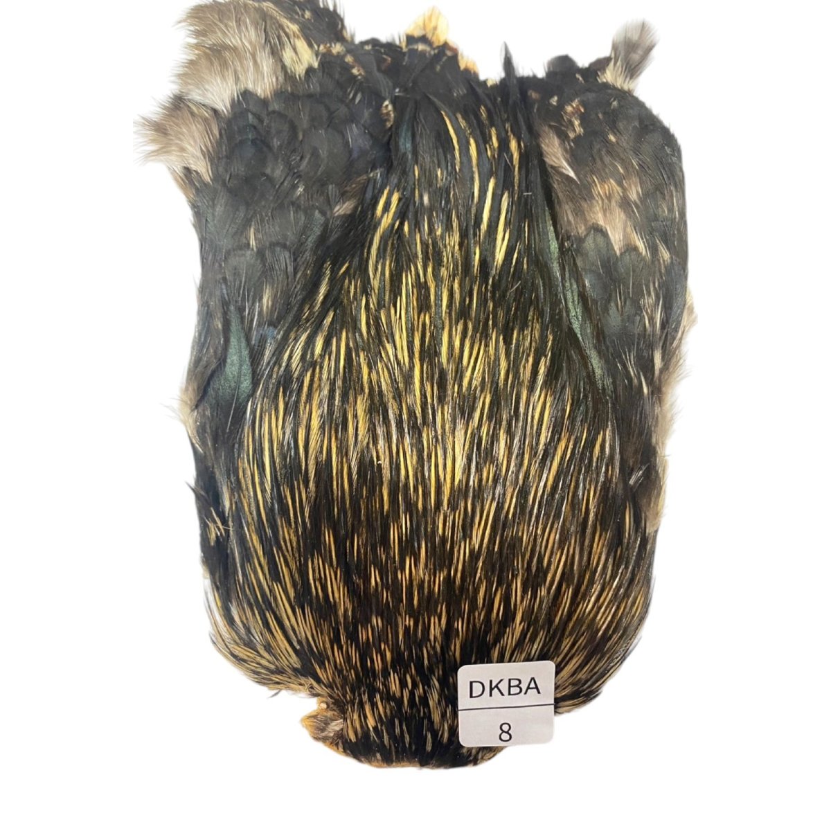 画像1: インドコックケープ India Cock Neck Cape　　ダークバジャー　NO08 (1)
